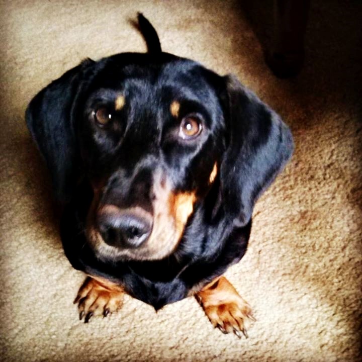 Mel