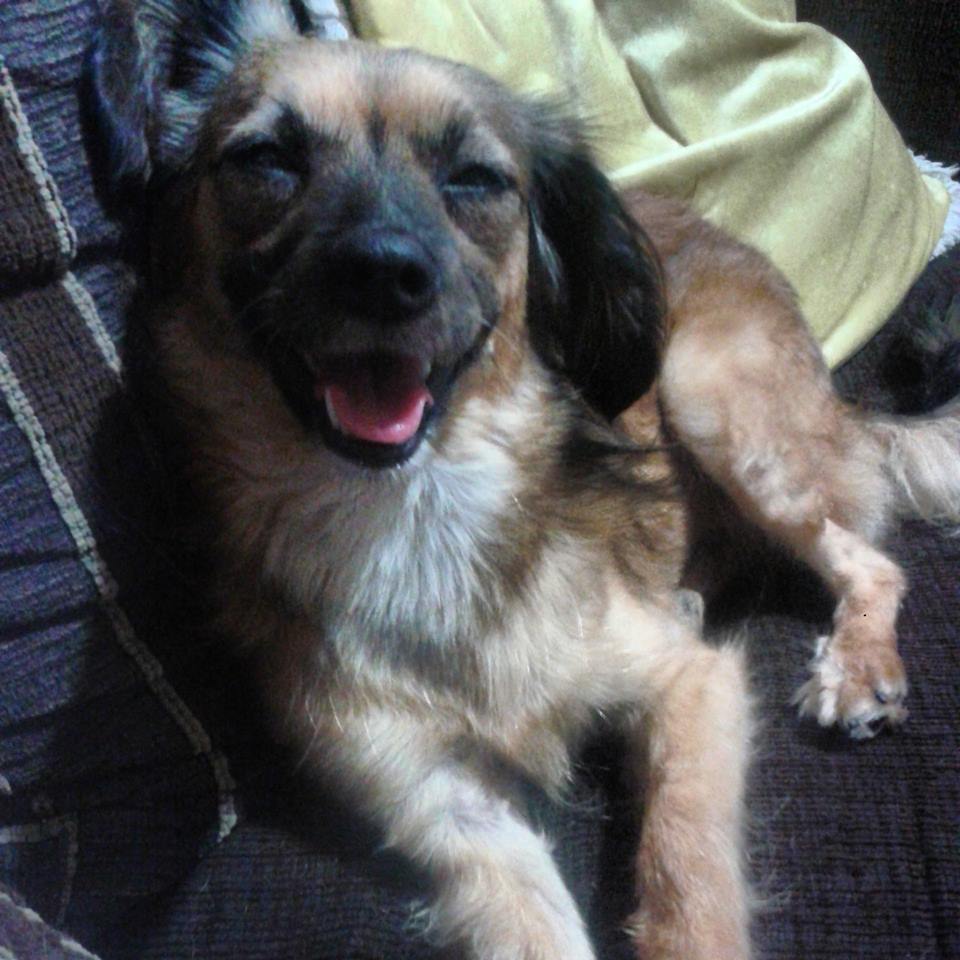 Bellinha