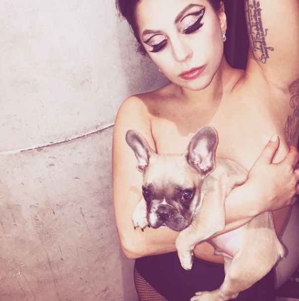 Conheça Koji, o novo cachorrinho de Lady Gaga 3 Koji nos braços da mãe, Lady Gaga. (Foto: Reprodução / Instagram)