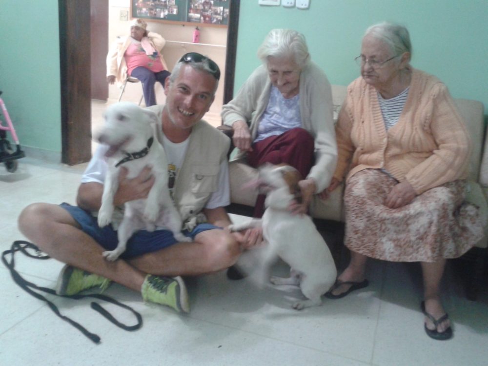 Conheçam a dupla Kiko e Toby, dois cães que trabalham como terapeutas em Itu