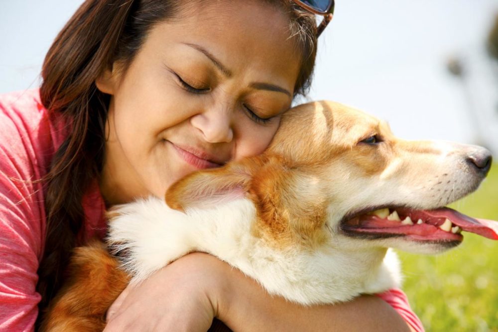 9 razões para ter um cachorro