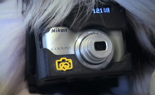 Dispositivo com a câmera Nikon Coolpix L31. (Foto: Reprodução / Youtube / Nikon Asia)