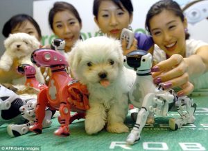 Robôs no lugar dos nossos queridos pets? (Foto: Reprodução / Daily Mail UK)