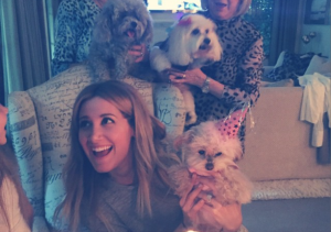 Festinha de aniversário da cachorra Maui, de Ashley Tisdale. (Foto: Reprodução / Instagram)