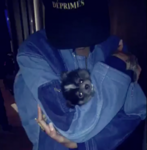 Rihanna ninando o cachorro Pepe. (Foto: Reprodução / Twitter)