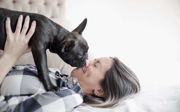 cachorro lambendo