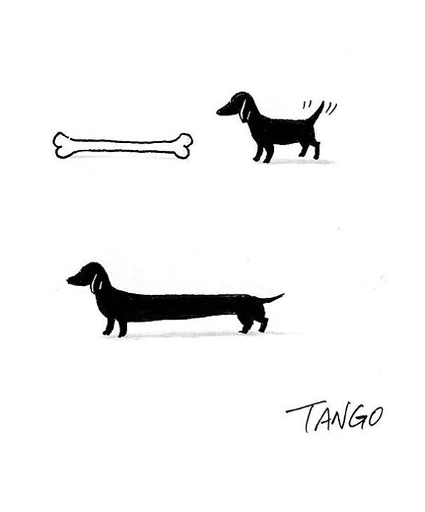 origem-dachshund