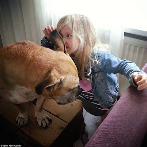 Fotógrafo registra todos os momentos da amizade da filha com seu cão 3 Brincando. (Foto: Reprodução / Daily Mail UK)