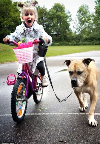Fotógrafo registra todos os momentos da amizade da filha com seu cão 4 Companhia na hora de andar de bicicleta. (Foto: Reprodução / Daily Mail UK)