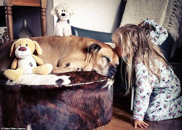 Fotógrafo registra todos os momentos da amizade da filha com seu cão 5 Beijinho de boa noite. (Foto: Reprodução / Daily Mail UK)