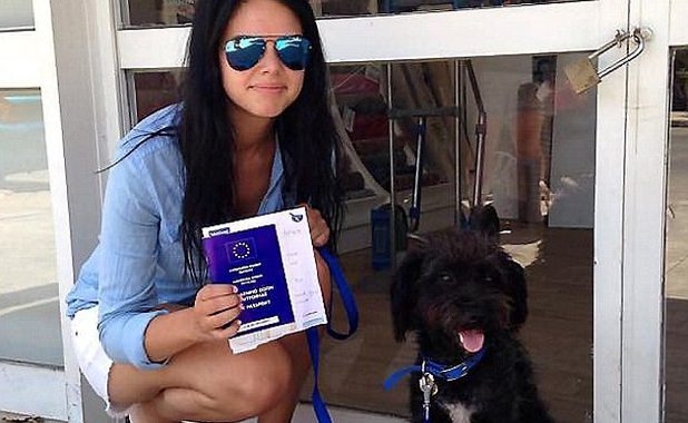 Mulher viaja milhares de quilômetros para adotar cachorra que salvou sua vida 2 Georgia levou a cadela Pepper para sua casa. (Foto: Reprodução / Bark Post)