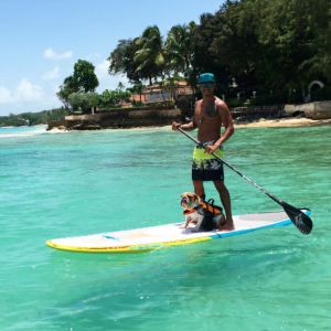 Lewis Hamilton e a cachorra Coconut praticando stand up paddle. (Foto: Reprodução / Instagram)