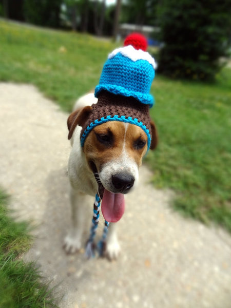 Gorros e chapéus de lã para cães 7 Que tal um cupcake? (Foto: Reproução / Etsy)