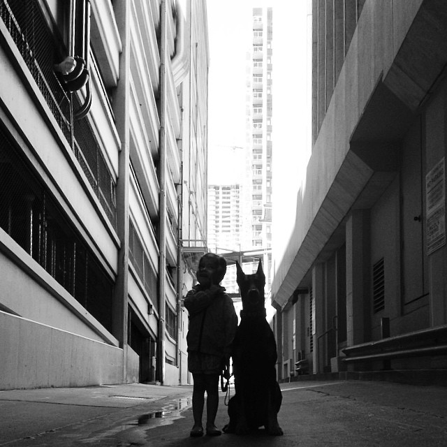 Fofinha e a fera: Linda amizade entre garotinha e Doberman 6 Foto: Reprodução/Instagram