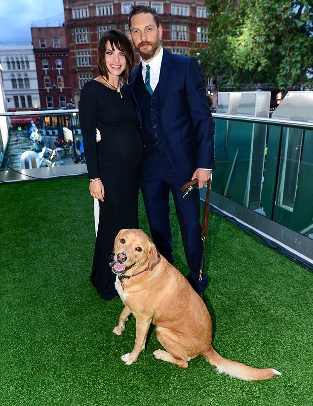 Tom Hardy leva seu cachorro para a premiere do filme Legend 1 Foto: Reprodução