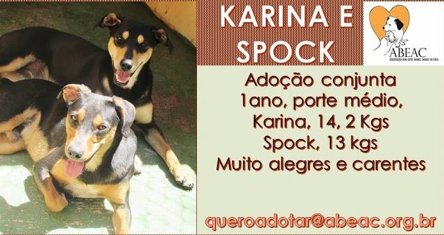 (Foto: Reprodução / Facebook / Abeac)