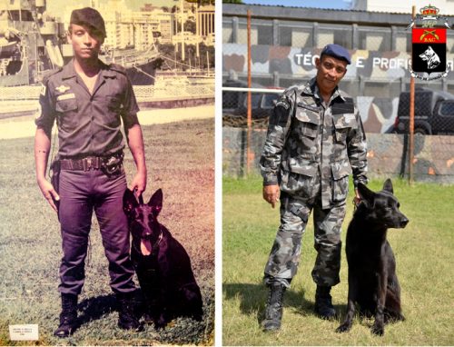 Foto: Cadela ninfa 1975 e cão Bruce 2015.