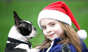 A garotinha pediu para o Papai Noel encontrar sua cachorra. (Foto: Reprodução / Express UK)