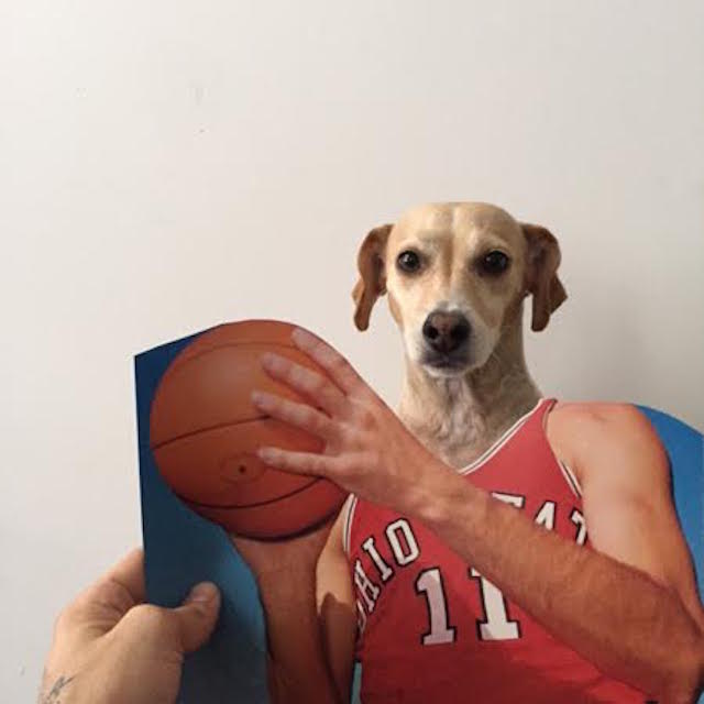Jay Riggio faz montagens engraçadas de seus cães 2 Butters se tornou um jogador de basquete. (Foto: Reprodução / Bark Post / Jay Riggio)