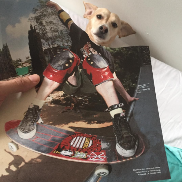 Jay Riggio faz montagens engraçadas de seus cães 9 Butters como skatista. (Foto: Reprodução / Instagram / Jay Riggio)