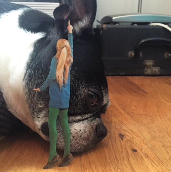 Jay Riggio faz montagens engraçadas de seus cães 10 Precisando de uma ajuda para mostrar onde está sujo? (Foto: Reprodução / Instagram / Jay Riggio)