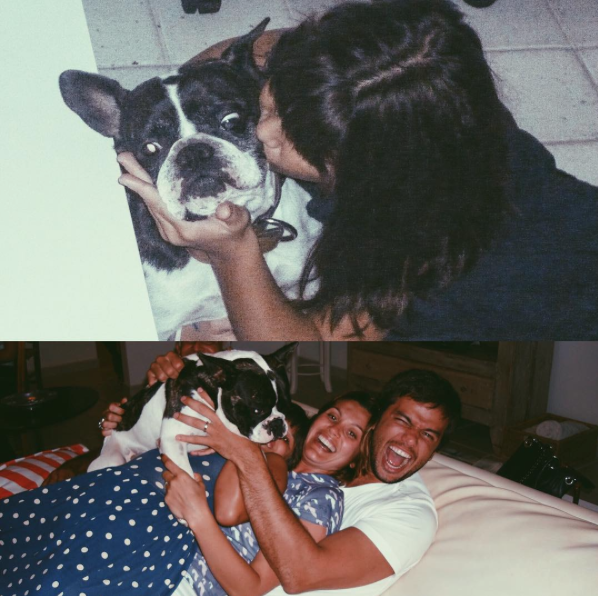 Flávia Alessandra apresenta o novo cachorrinho da família 3 Giulia Costa fez uma homenagem ao cão Manolo. (Foto: Reprodução / Instagram)