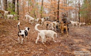 O homem vivia com 31 cães em uma floresta dos Estados Unidos. (Foto: Reprodução / Facebook / Animal Rescue Cops)