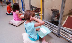 Programa traz crianças para ler para cães tímidos e que têm medo de interagir com humanos. (Fotos: Reprodução / Missouri Humane Society)