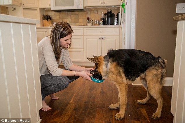 Foto de pastor alemão 'corcunda' se torna viral e mais de mil pessoas demonstram interesse em sua adoção 2 O pastor alemão com sua cuidadora Rachel Mairose. (Foto: Reprodução / Daily Mail UK)