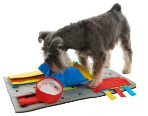 Um tapete cheio de atividades para distrair e divertir seu cão. (Foto: Divulgação / Pup Life)