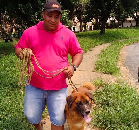 Cachorro que viveu 3 anos preso encontra um novo lar