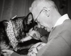 Voluntário de abrigo resolveu levar o cão idoso e doente para a sua casa. (Foto: Reprodução / Shelter Dog Photography)