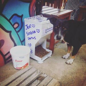 Comedouros coletivos para cães e gatos que vivem nas ruas de Jericoacoara. (Foto: Reprodução / Facebook / Jeri Sobre Patas)
