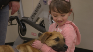A menina conheceu a cachorra Arrow.  (Foto: Reprodução / CBC Canadá)
