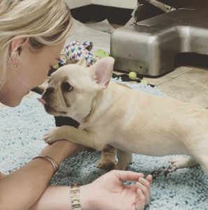 Hilary Duff com a cachorrinha Peach. (Foto: Reprodução / Instagram)