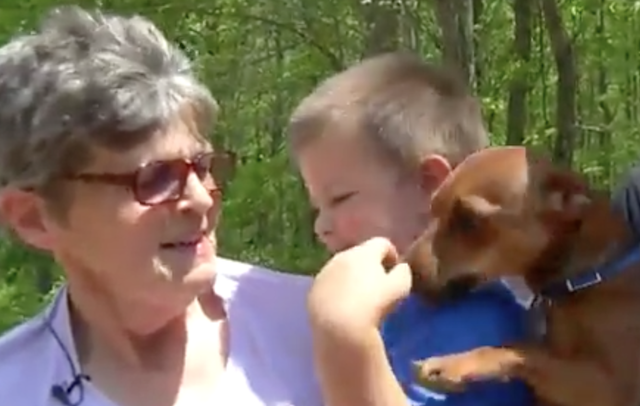 Cachorro ajuda família a encontrar garoto de 3 anos que estava perdido 2 O herói da família. (Foto: Reprodução / Youtube / VIP 007 / 10 WSUS)