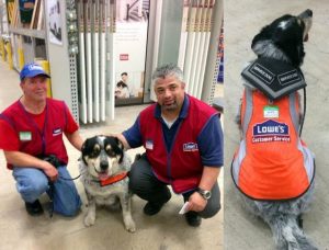 O homem e seu cão de serviço se tornaram funcionários da loja. (Foto: Reprodução / Facebook / Lowe's Canada)