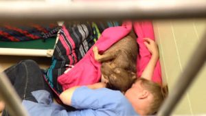 Ela estava ajudando a confortar o animal, que havia passado por uma cirurgia. (Foto: Reprodução / Conway Area Humane Society)