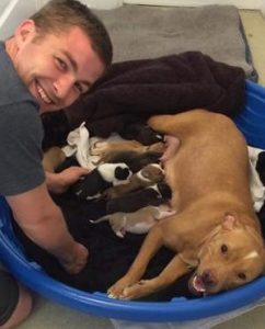 Apesar de ser difícil, a grande família logo encontrou um lar temporário, e com um pai adotivo bastante carinhoso. (Foto: Reprodução / Sacramento SPCA)
