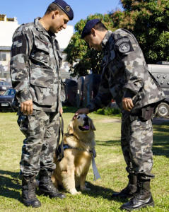 Comandante do BAC Cel Nogueira (direita) na cerimônia de aposentadoria, entregando oficialmente a cadela Luna aos cuidados do CB Strecht (esquerda).