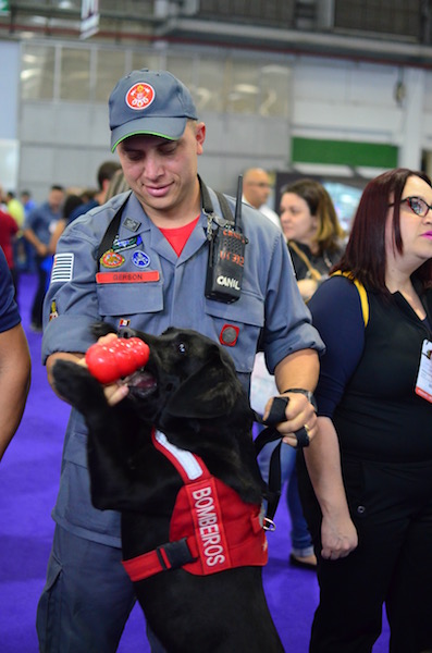 Cachorros na Pet South America 2016 6 Até os cães do Corpo de Bombeiros marcaram presença. (Foto: Karina Sakita)