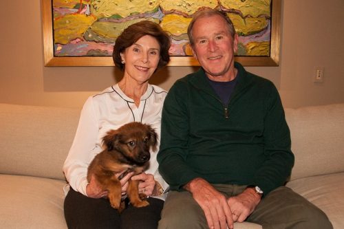 Laura e George W. Bush adotaram o cão e o levaram para casa no mesmo dia. (Foto: Reprodução / George W. Bush)