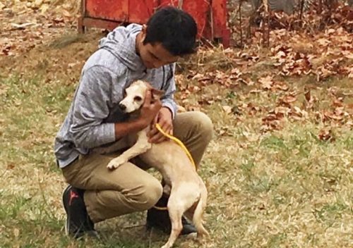 Alex Perez é um jovem que tem muito amor pelos cães. (Foto: Reprodução / Valinda Cortez)