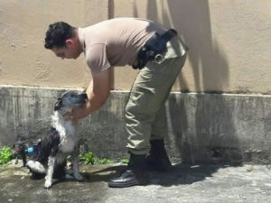 Animal foi socorrido por Policiais Militares, que deram um banho no cão e o alimentaram. (Foto: Reprodução / Polícia Militar)
