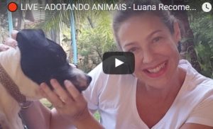 Atriz falou com seus seguidores sobre adoção de animais.
 (Foto: Reprodução / YouTube Luana Sem Freio)