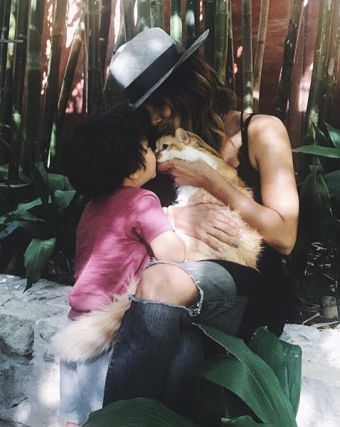Após perder gatinho de estimação, Halle Berry adota cachorrinho 1 apos perder gatinho de estimacao halle berry adota cachorrinho pdd1
