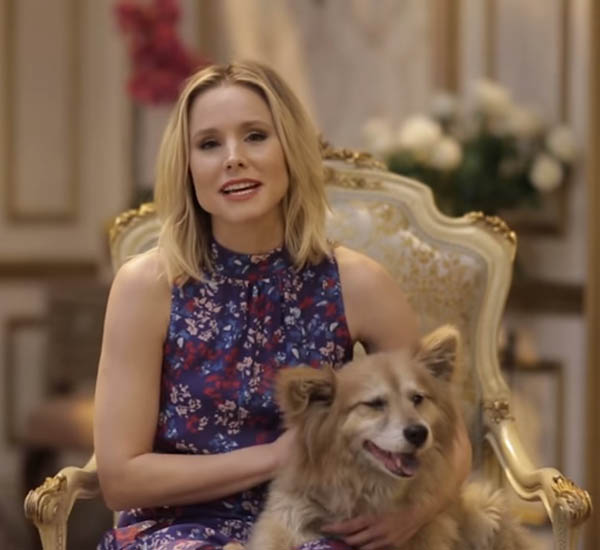 atriz kristen bell explica o motivo que a fez adotar um cachorro pdd4