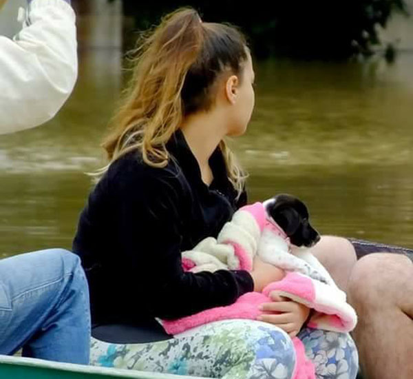 Prefeitura de Rio do Sul protege também os animais durante enchente no município 1 prefeitura de rio do sul protege tambem os animais durante enchente no municipio pdd1