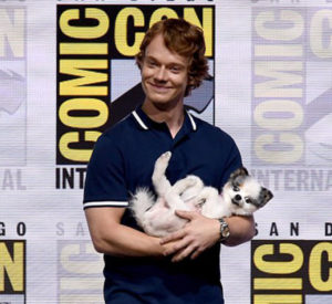 O ator de Game Of Thrones arrancou suspiros do público ao entrar na convenção com sua cadelinha no colo como um bebê.(Foto: Reprodução / Daily Mail UK / Getty Images)