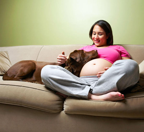 4 coisas que os cachorros conseguem sentir antes de acontecerem 3 4 coisas que os cachorros conseguem sentir antes de acontecerem pdd3